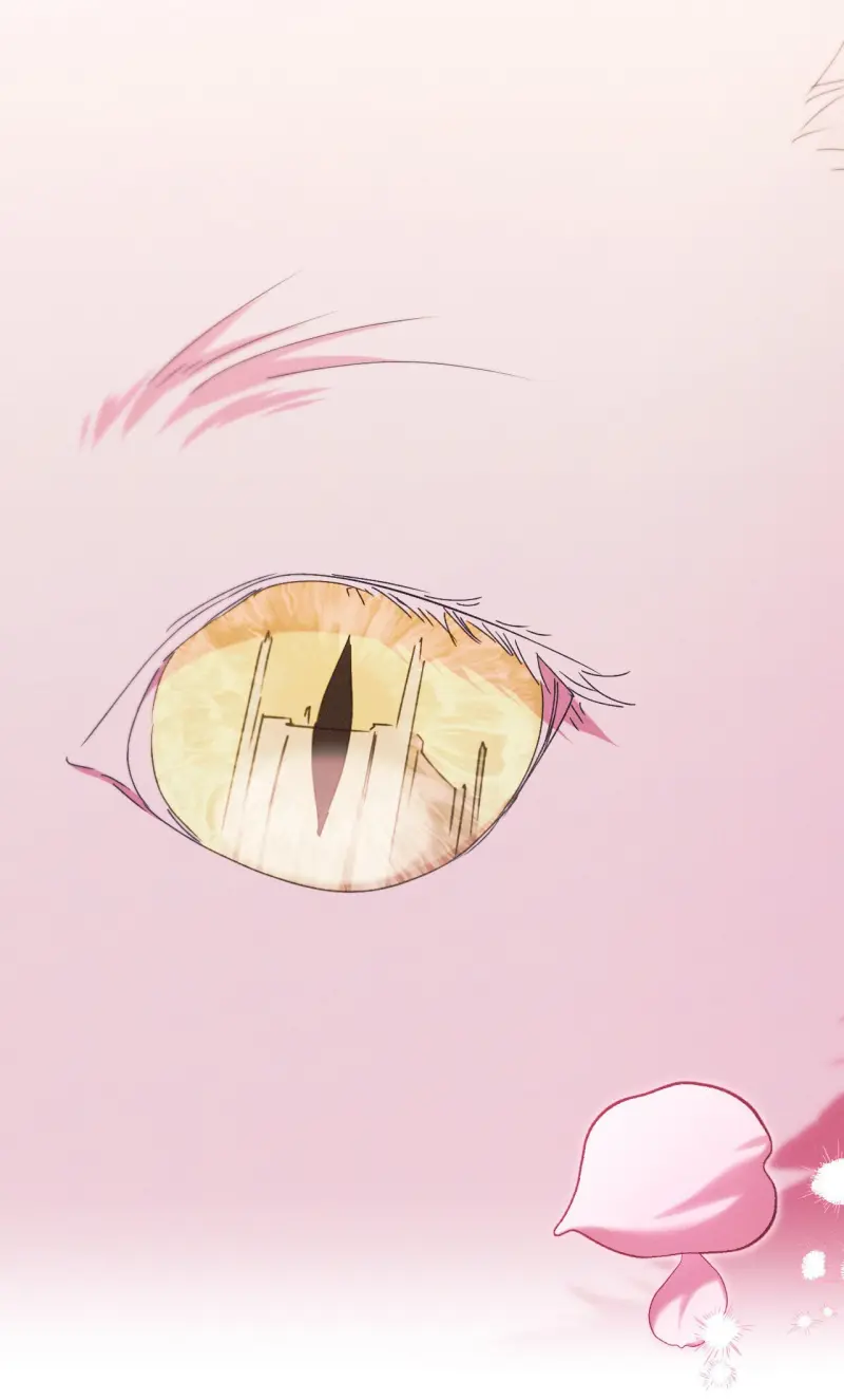 RẮN NUỐT LỰU Chapter 27 - Trang 2