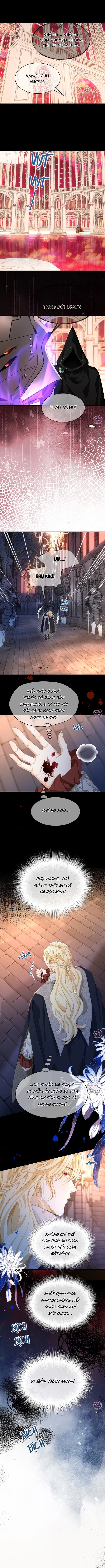 Tôi Tái Sinh Thành Tiểu Ác Long Của Hoàng Tử Điện Hạ Chapter 101 - Next 