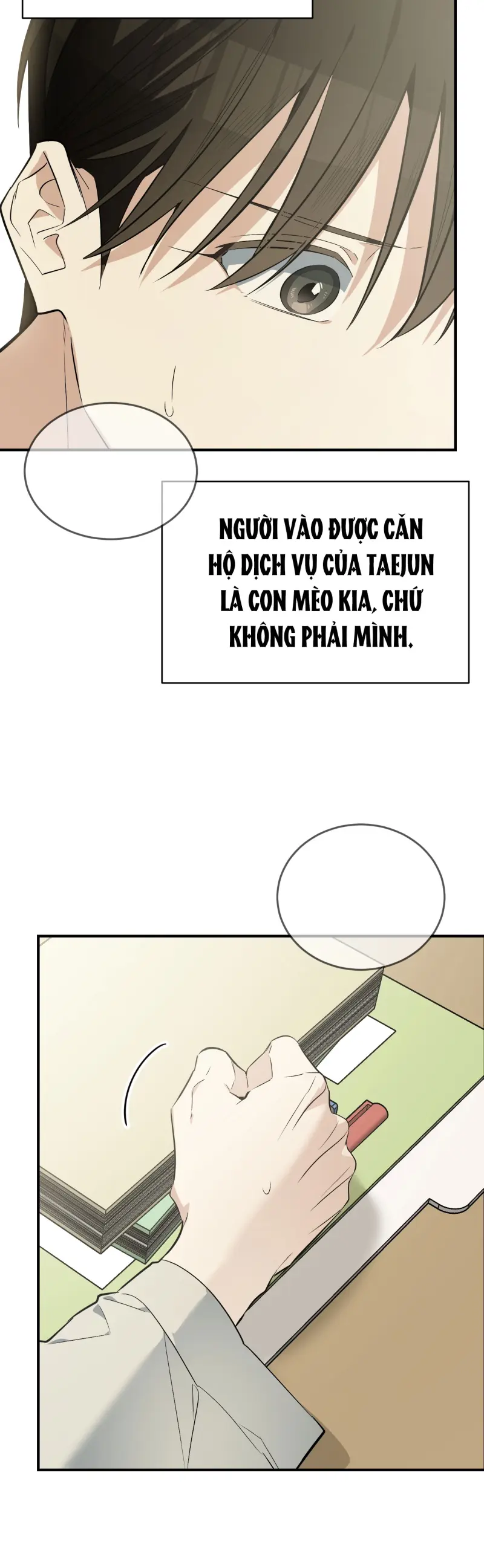 Sinh mèo con cho tôi mau trước khi thằng này điên lên Chapter 14 - Trang 2