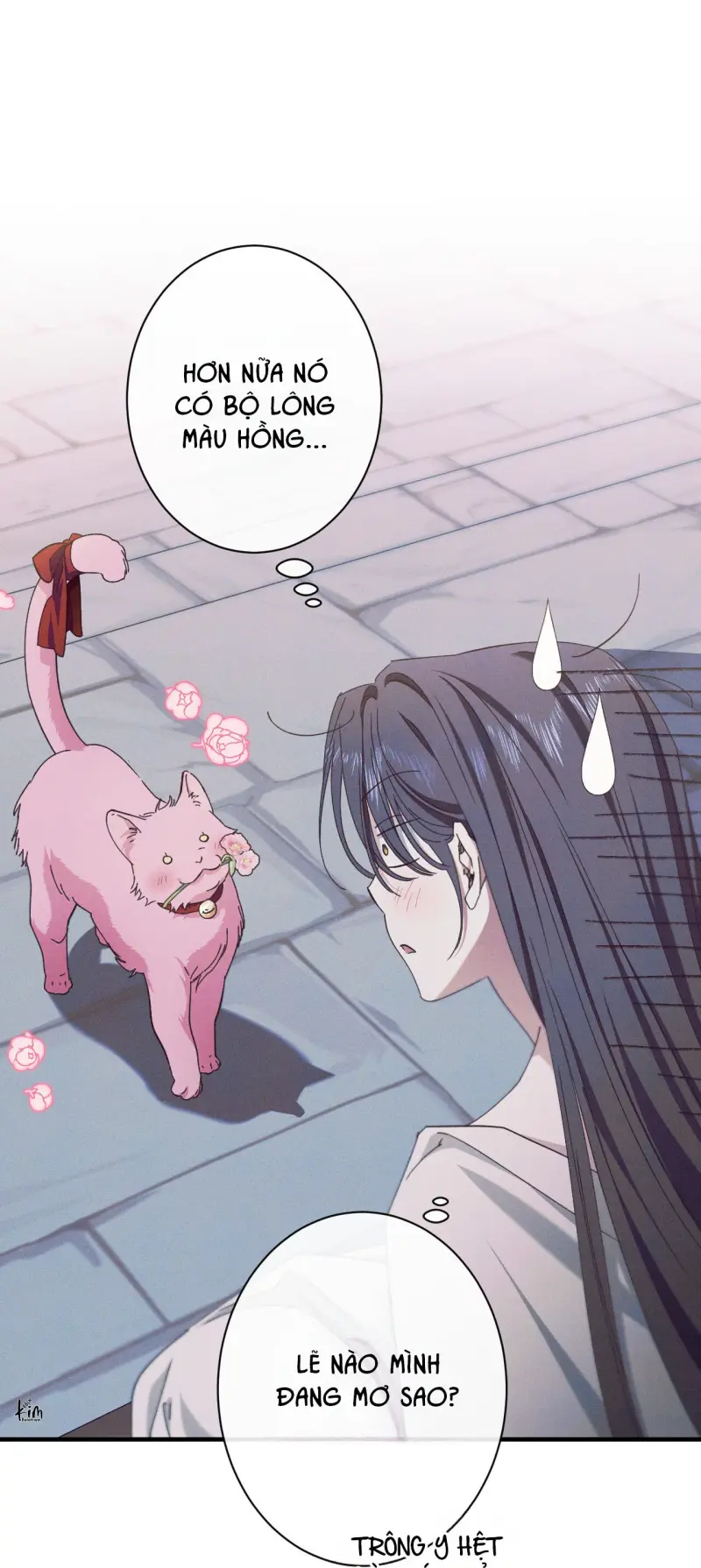 RẮN NUỐT LỰU Chapter 27 - Trang 2