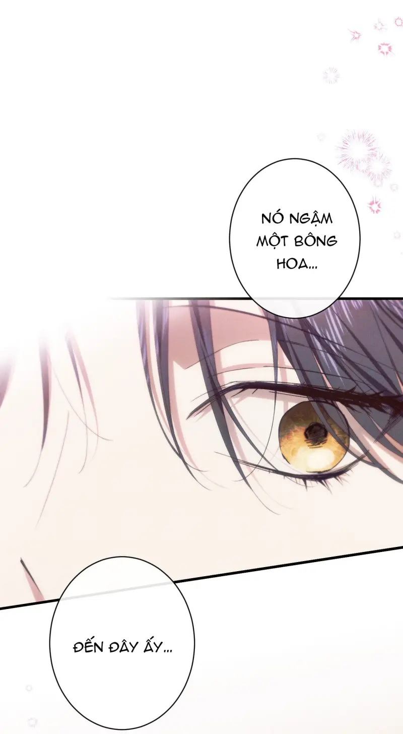 RẮN NUỐT LỰU Chapter 27 - Trang 2