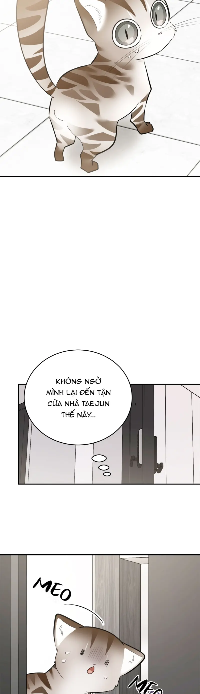 Sinh mèo con cho tôi mau trước khi thằng này điên lên Chapter 14 - Trang 2