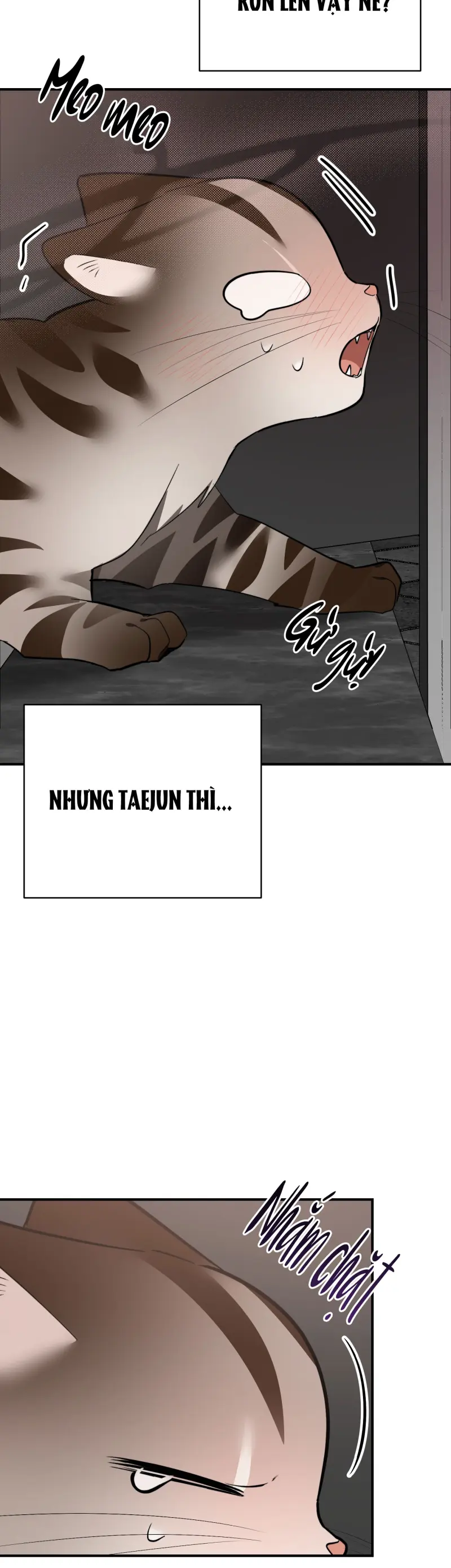 Sinh mèo con cho tôi mau trước khi thằng này điên lên Chapter 14 - Trang 2