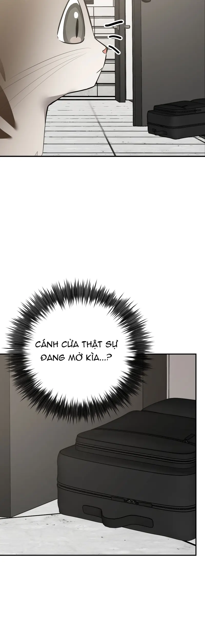 Sinh mèo con cho tôi mau trước khi thằng này điên lên Chapter 14 - Trang 2