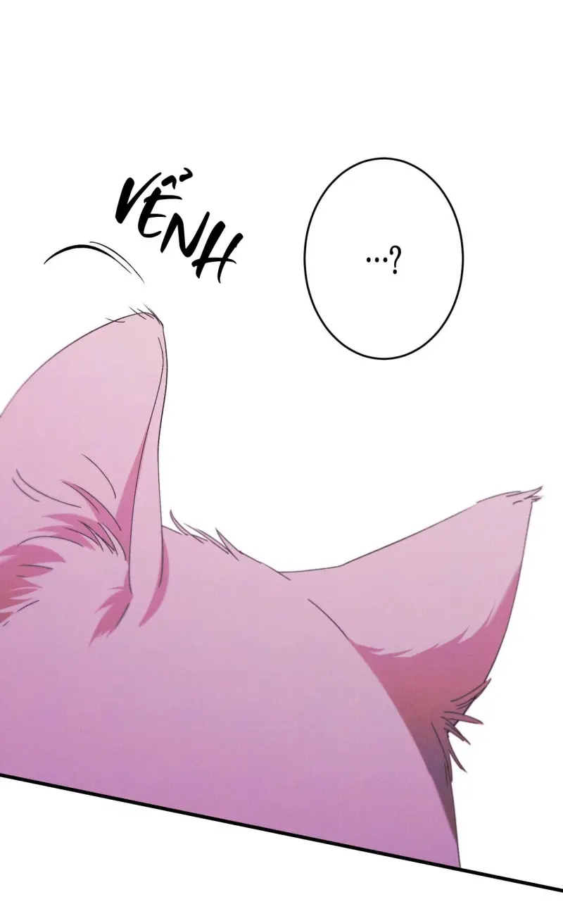 RẮN NUỐT LỰU Chapter 27 - Trang 2