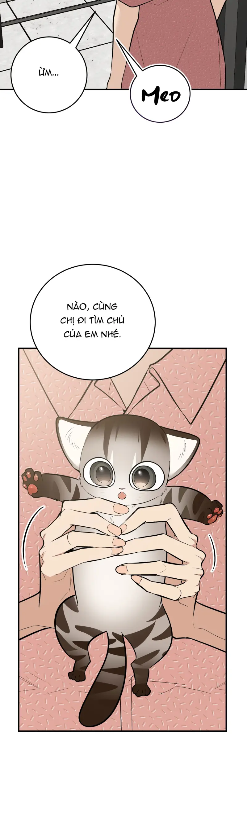 Sinh mèo con cho tôi mau trước khi thằng này điên lên Chapter 14 - Trang 2
