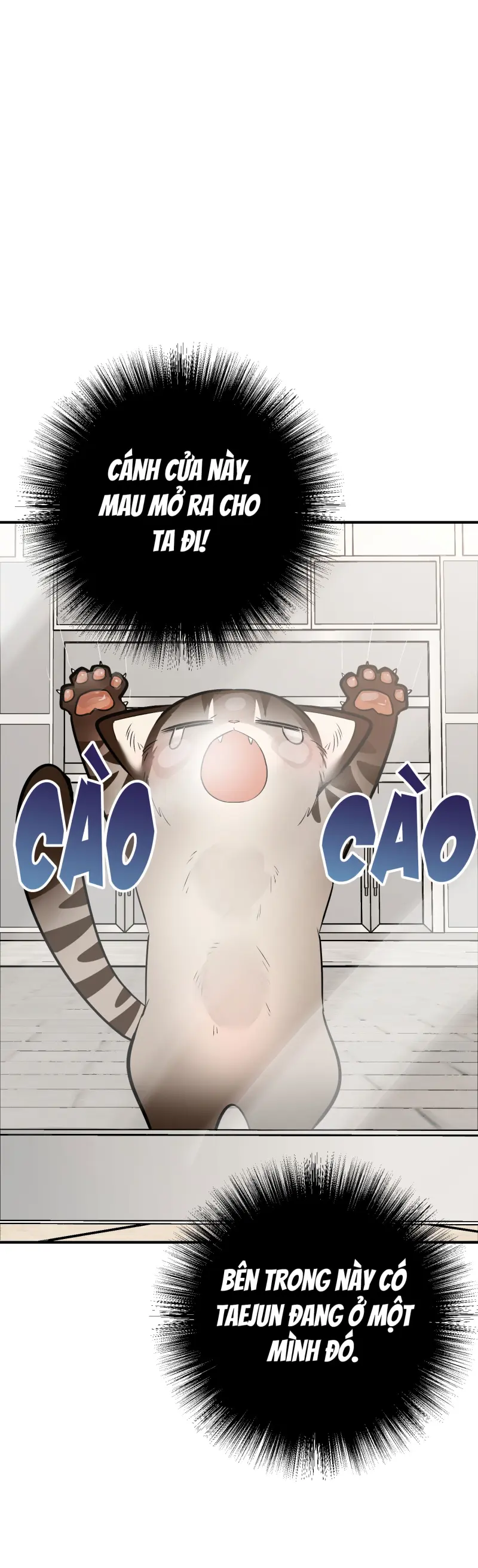 Sinh mèo con cho tôi mau trước khi thằng này điên lên Chapter 14 - Trang 2