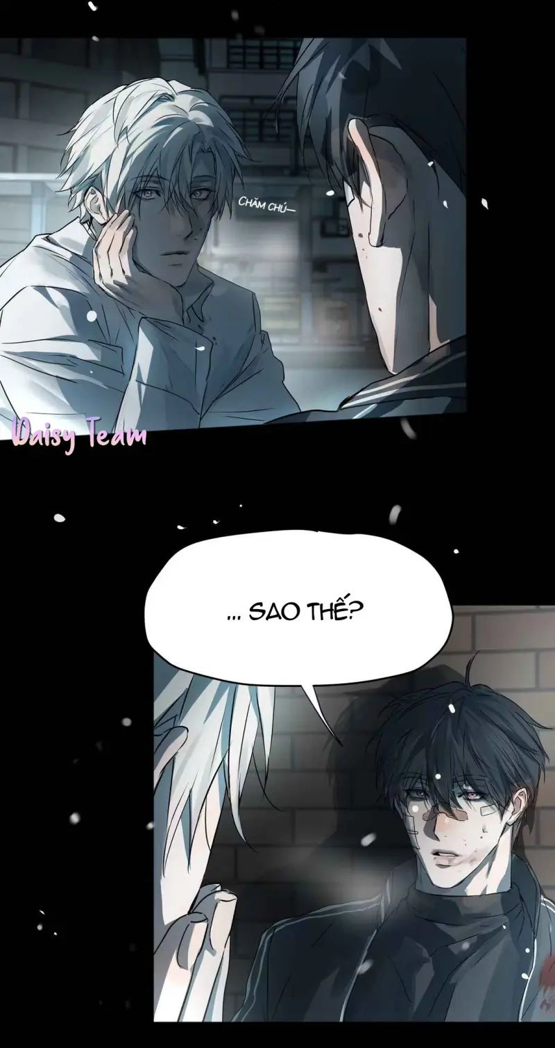 Tôi Bị Chó Điên Phát Hiện Bản Thân Là Đồng Loại Chapter 11 - Trang 2