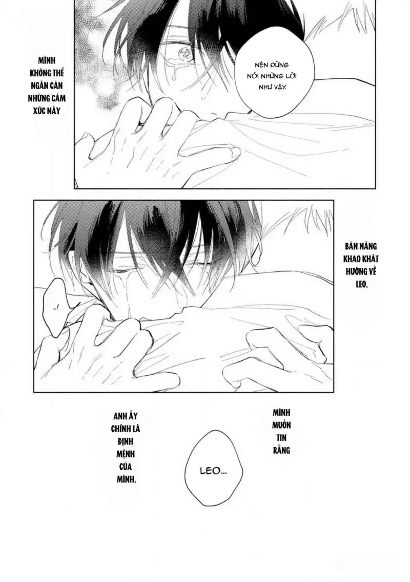 Bạn Đời Của Tôi Là Một Omega Thuần Chapter 4 H++ - Trang 2