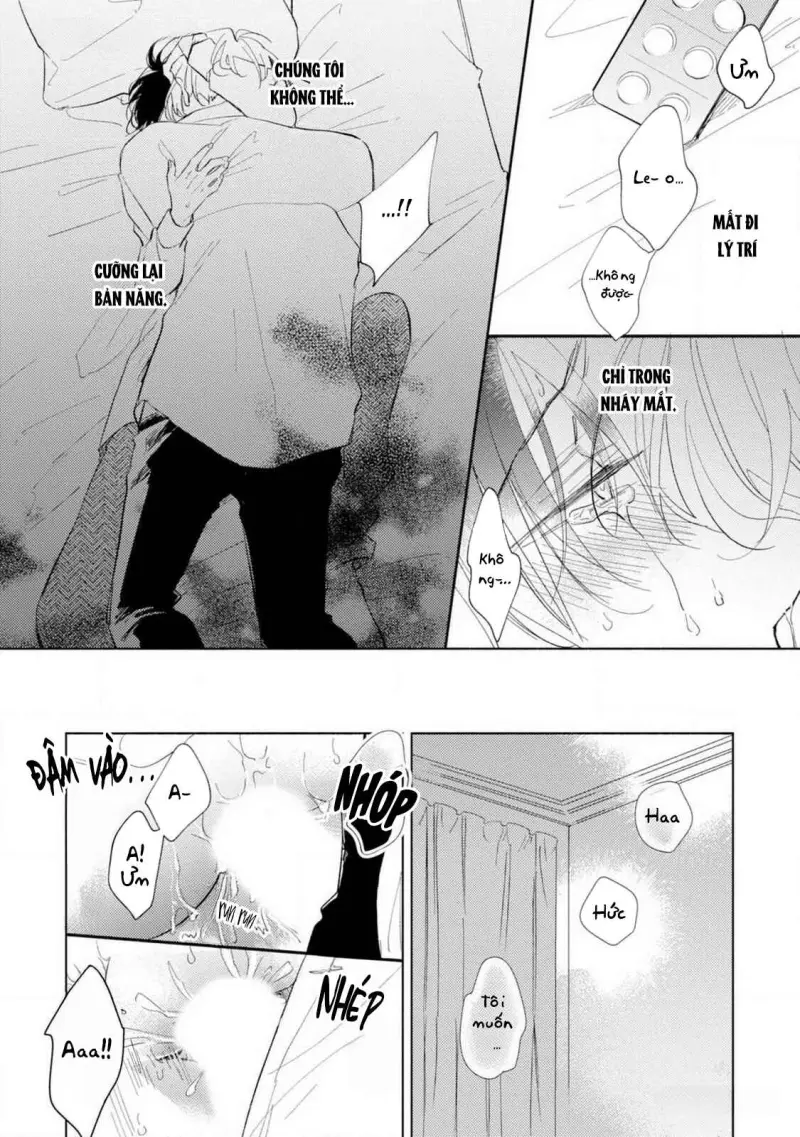 Bạn Đời Của Tôi Là Một Omega Thuần Chapter 4 H++ - Trang 2