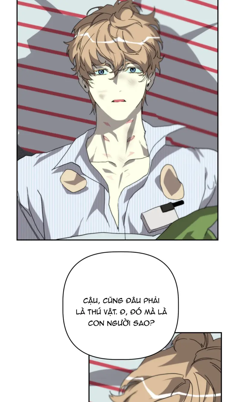 BẠN CÙNG LỚP MẪU GIÁO MẶT TRỜI Chapter 46 - Next 