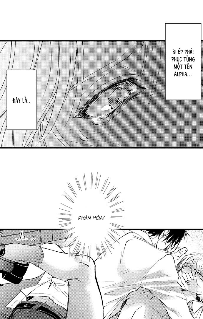 Bí Mật Thầm Kín Của Ngài Quý Tộc α Chapter 3 viceracomics - Trang 2