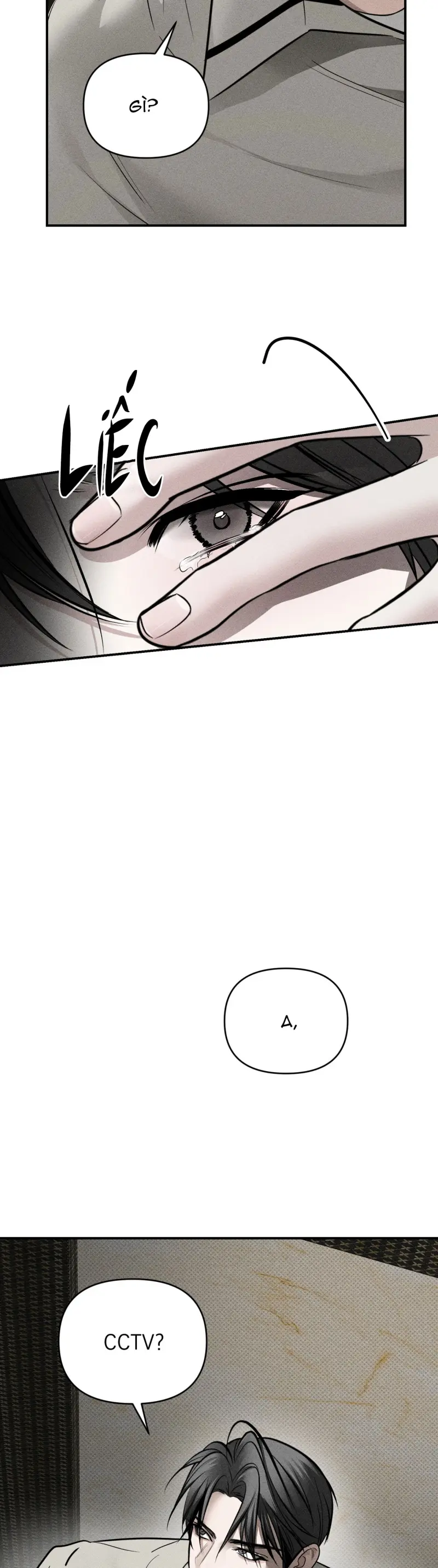 Kẻ đánh cắp con tim Chapter 15 - Trang 2