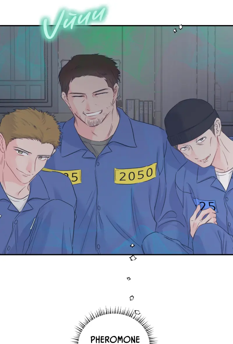 ĐẢO NGƯỢC CỦA ĐẢO NGƯỢC Chapter 73 - Trang 2