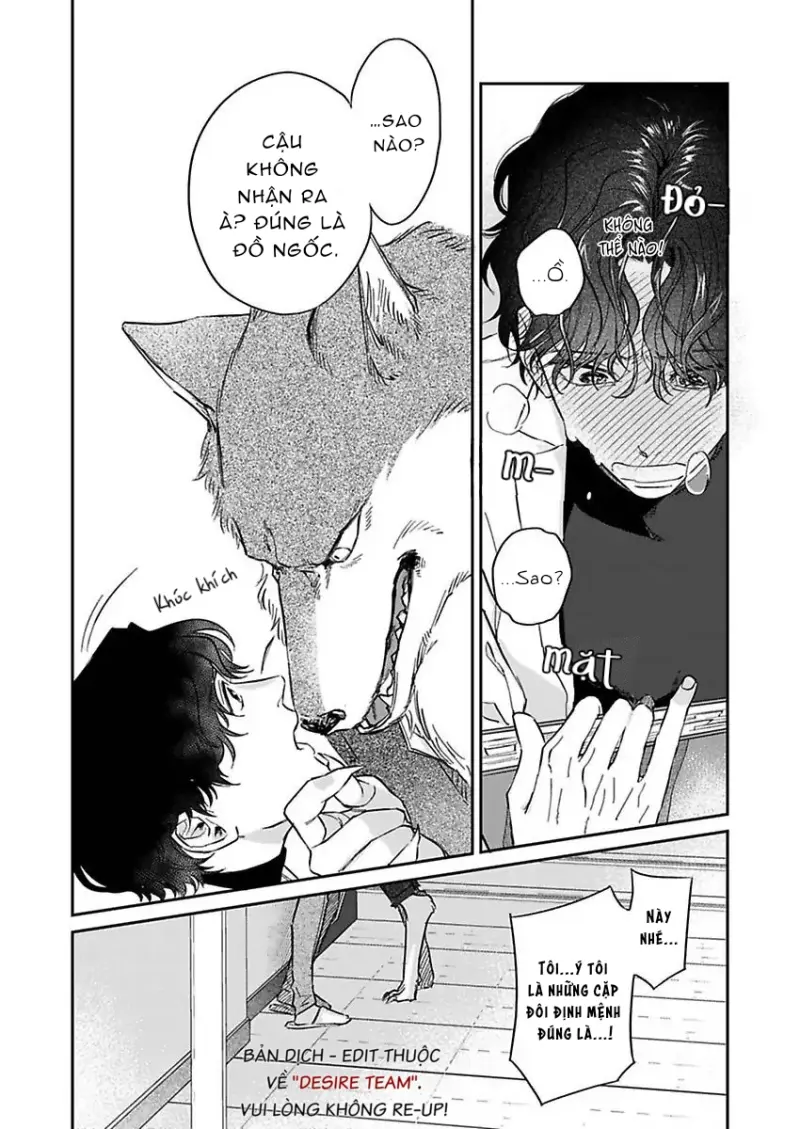 Tình Yêu Mãnh Liệt Của Ngài Sói Chapter 2 - Trang 2