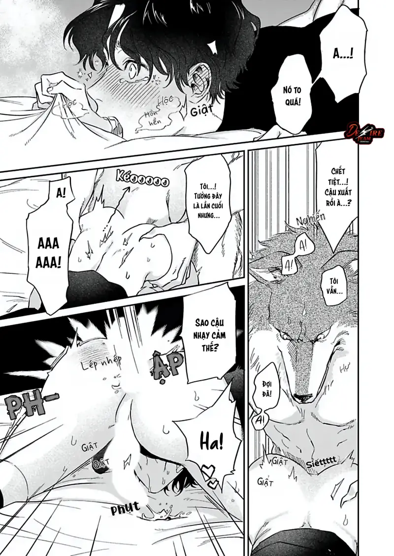 Tình Yêu Mãnh Liệt Của Ngài Sói Chapter 2 - Trang 2