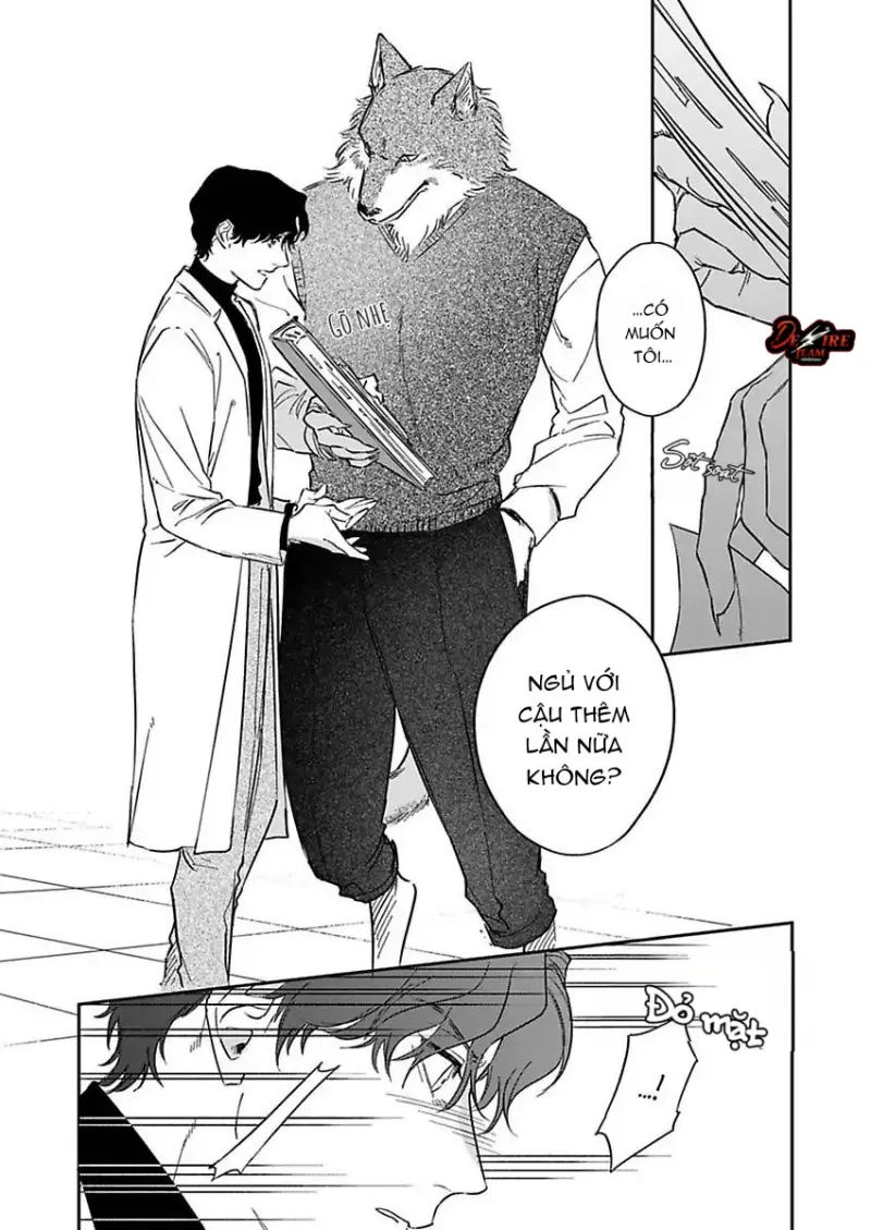 Tình Yêu Mãnh Liệt Của Ngài Sói Chapter 2 - Trang 2
