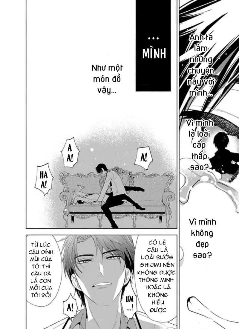 Vấp Ngã Trước Hồi Kết Của Tình Yêu Chapter 9 - Next 