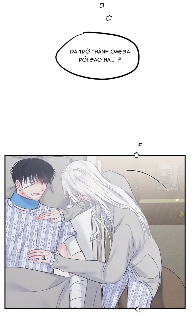 ĐẢO NGƯỢC CỦA ĐẢO NGƯỢC Chapter 73 - Trang 2