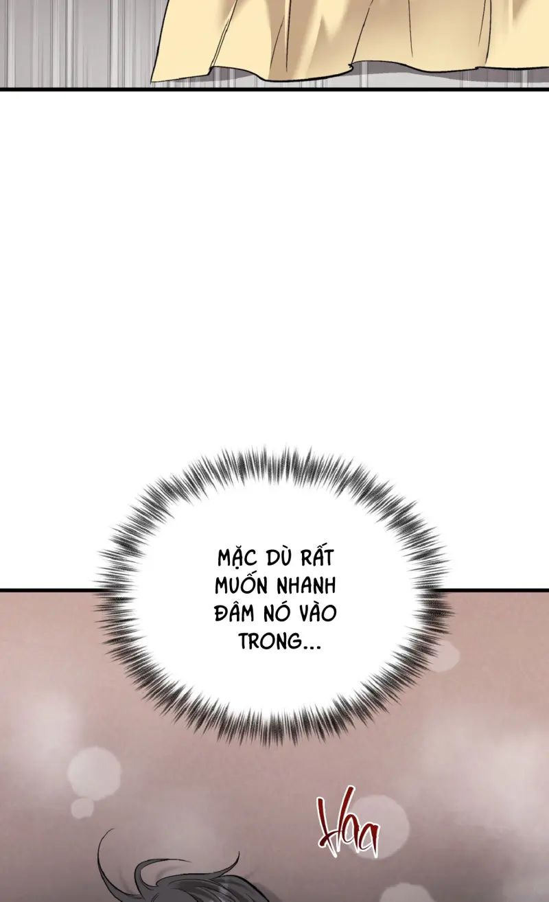 HONEY BEAR Chapter 78 - Next 