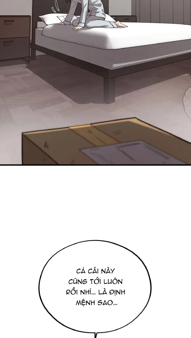 HONEY BEAR Chapter 78 - Next 