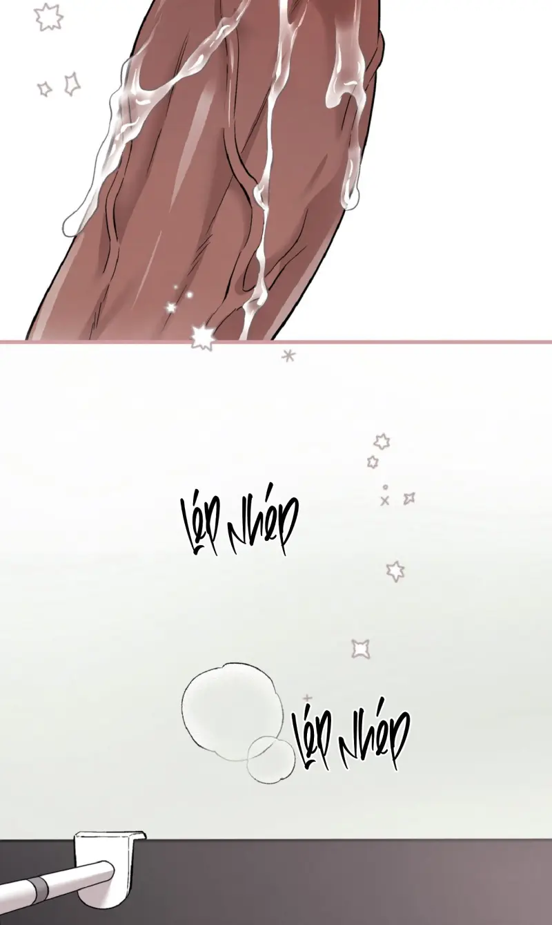 HONEY BEAR Chapter 78 - Next 