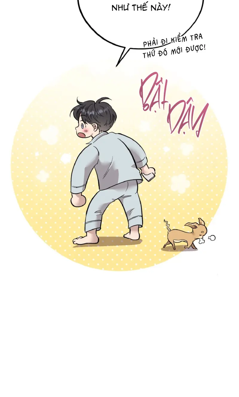 HONEY BEAR Chapter 78 - Next 