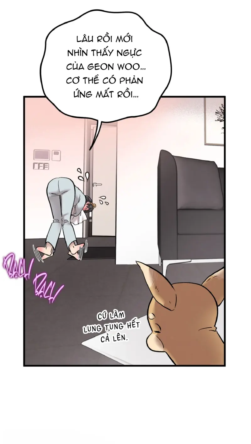 HONEY BEAR Chapter 78 - Next 