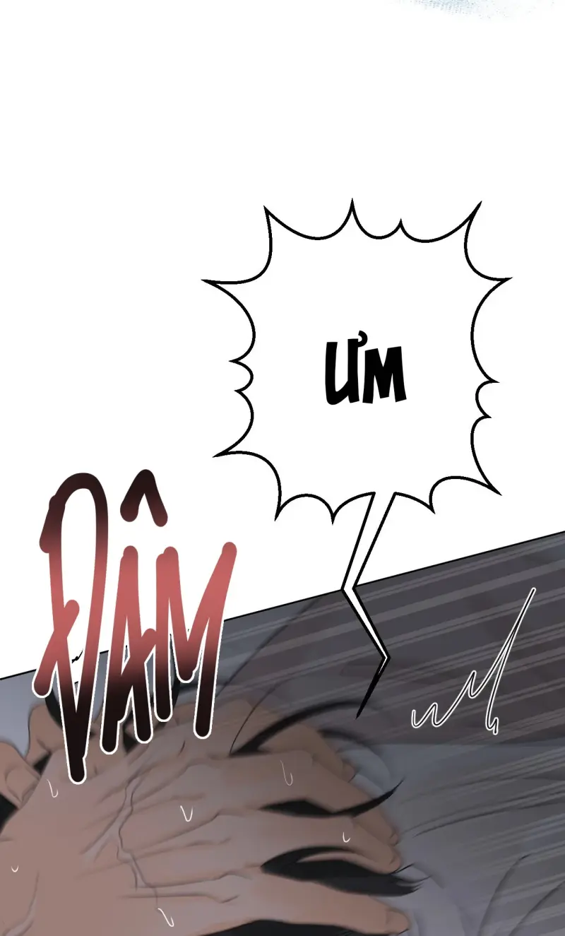 Ranh Giới Mùi Hương Chapter 21 - Next 