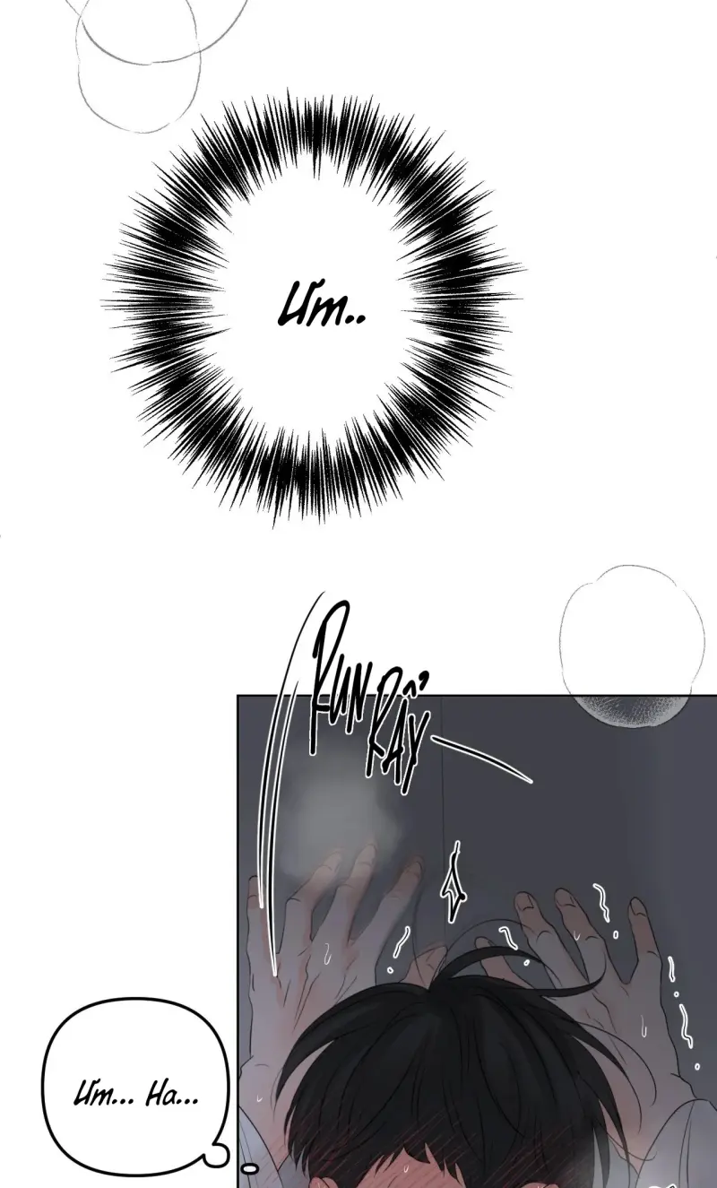 Ranh Giới Mùi Hương Chapter 21 - Next 