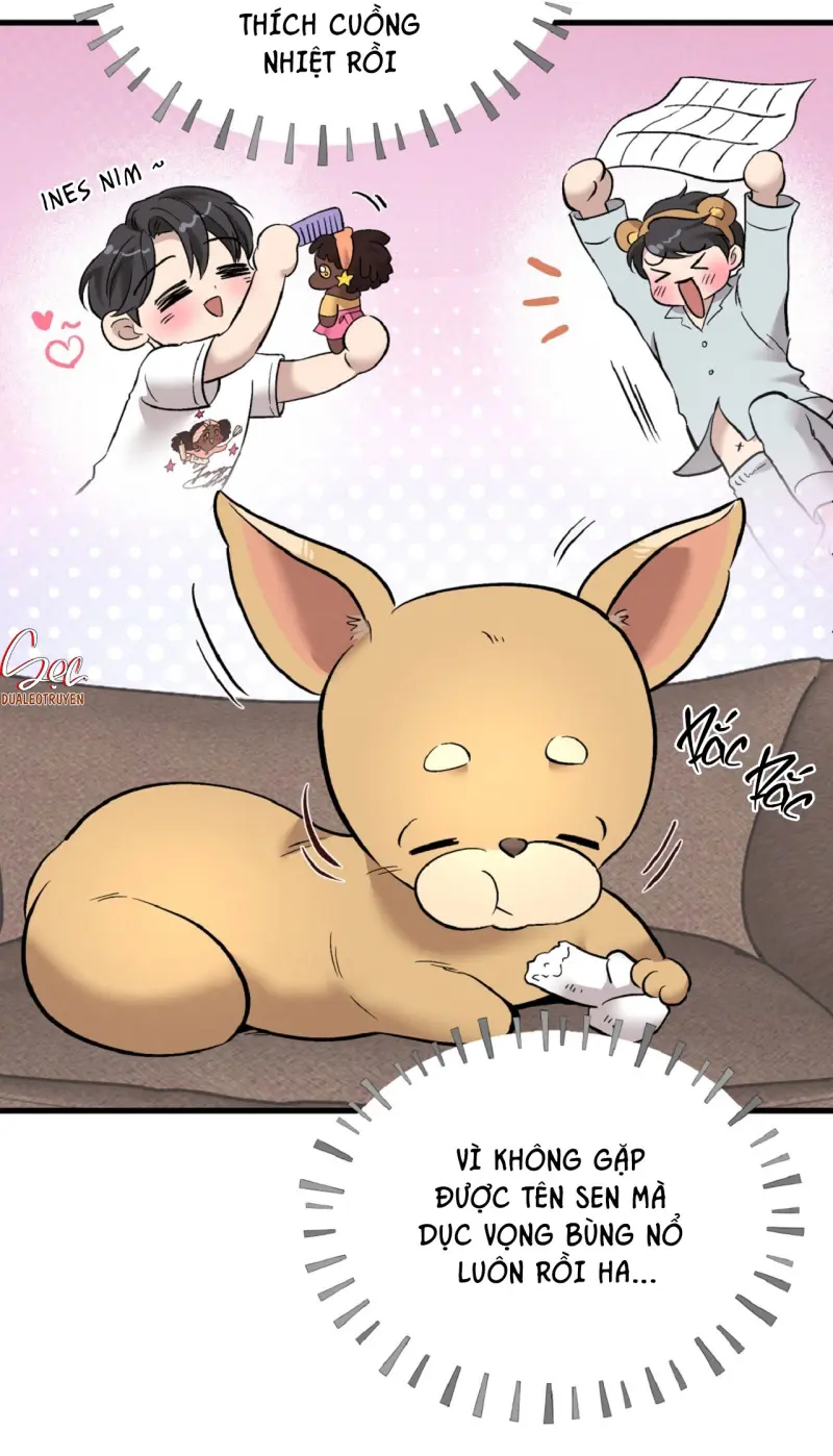 HONEY BEAR Chapter 78 - Next 