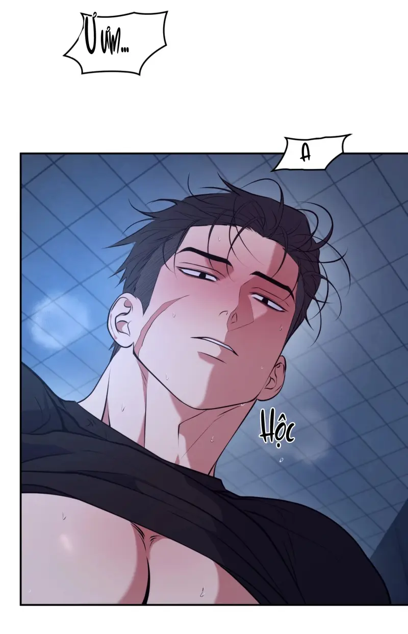 DAWNING LIGHT Chapter 12 - Next 