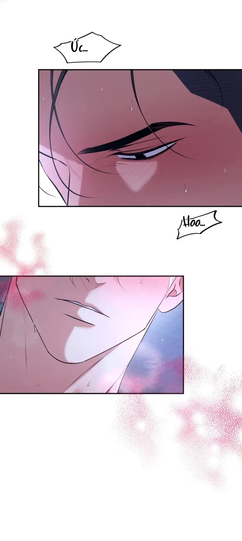 DAWNING LIGHT Chapter 12 - Next 