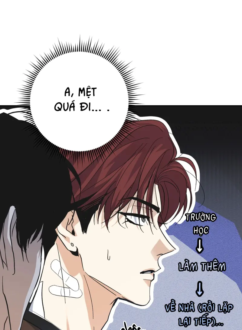 TƯƠNG XỨNG Chapter 17 - Next 