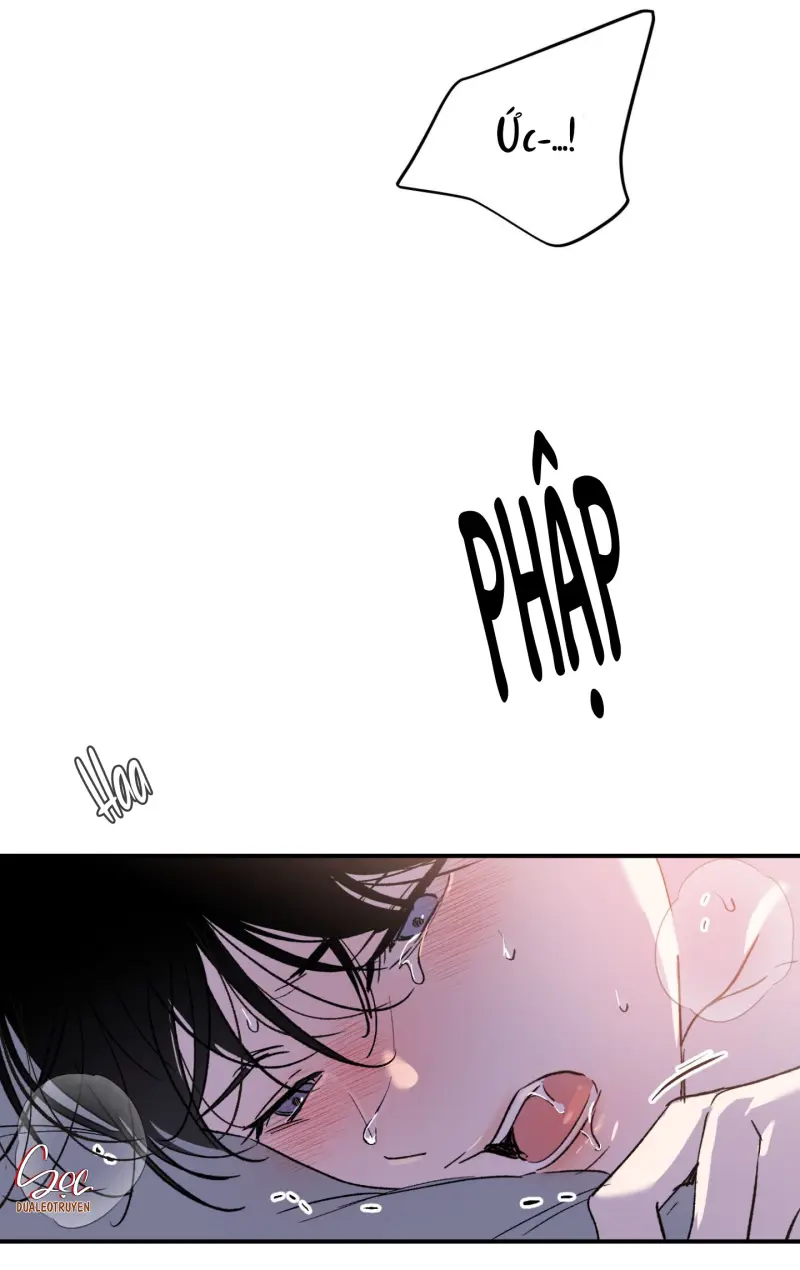 ÁNH MẮT LẠC NHỊP Chapter 2 - Next Chapter 3