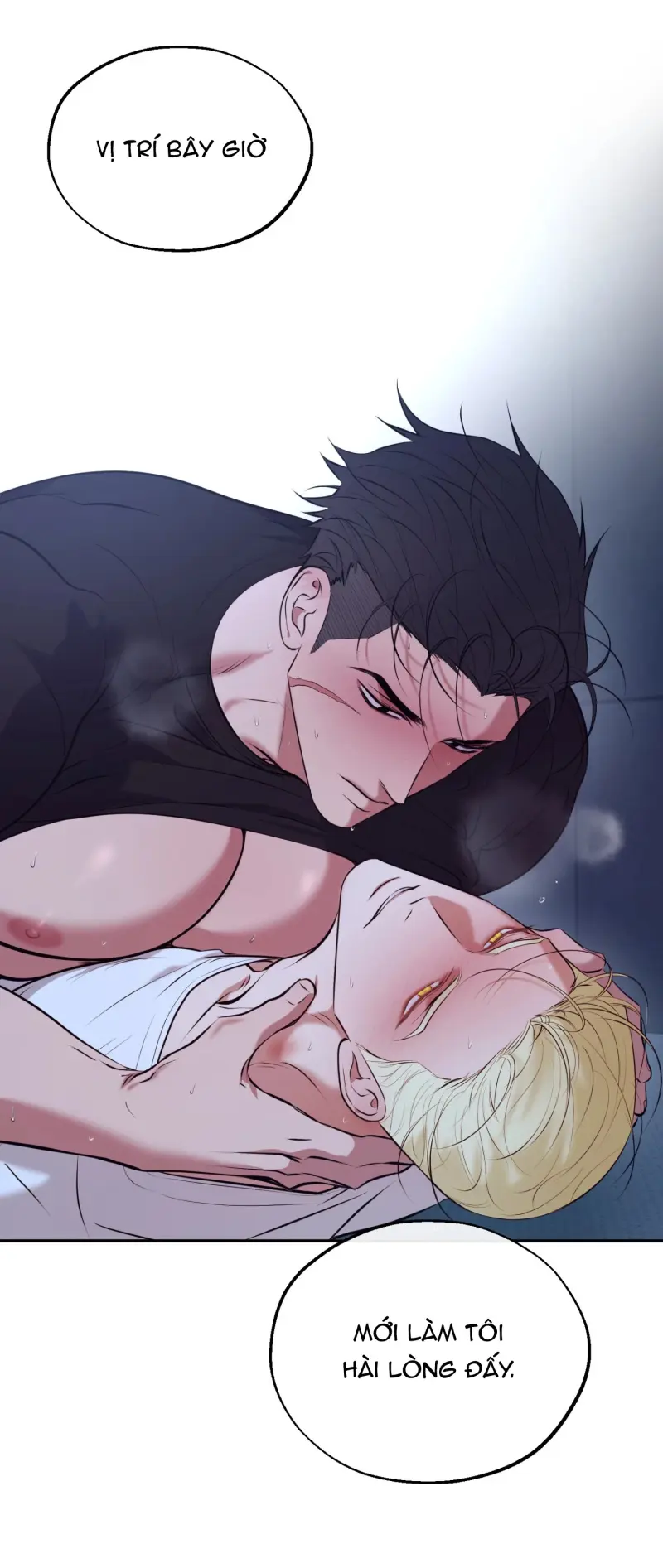 DAWNING LIGHT Chapter 12 - Next 