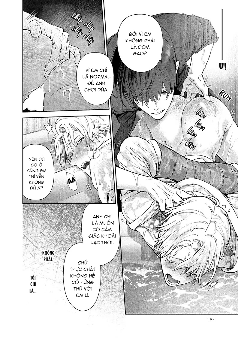 Cho Đến Khi Em Trở Thành Dom Chapter 5 Móc lít đỗ - Trang 2