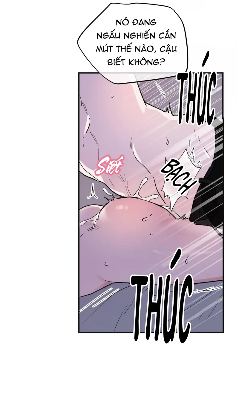 ÁNH MẮT LẠC NHỊP Chapter 2 - Next Chapter 3