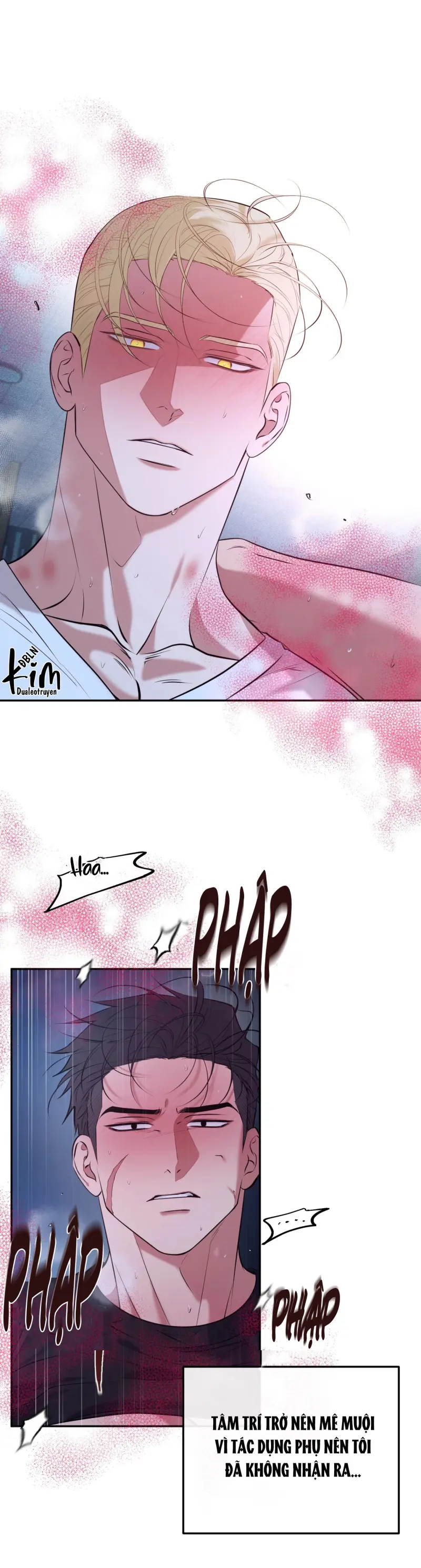 DAWNING LIGHT Chapter 12 - Next 