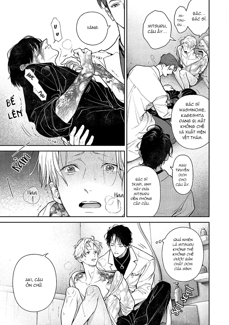 Cho Đến Khi Em Trở Thành Dom Chapter 5 Móc lít đỗ - Trang 2