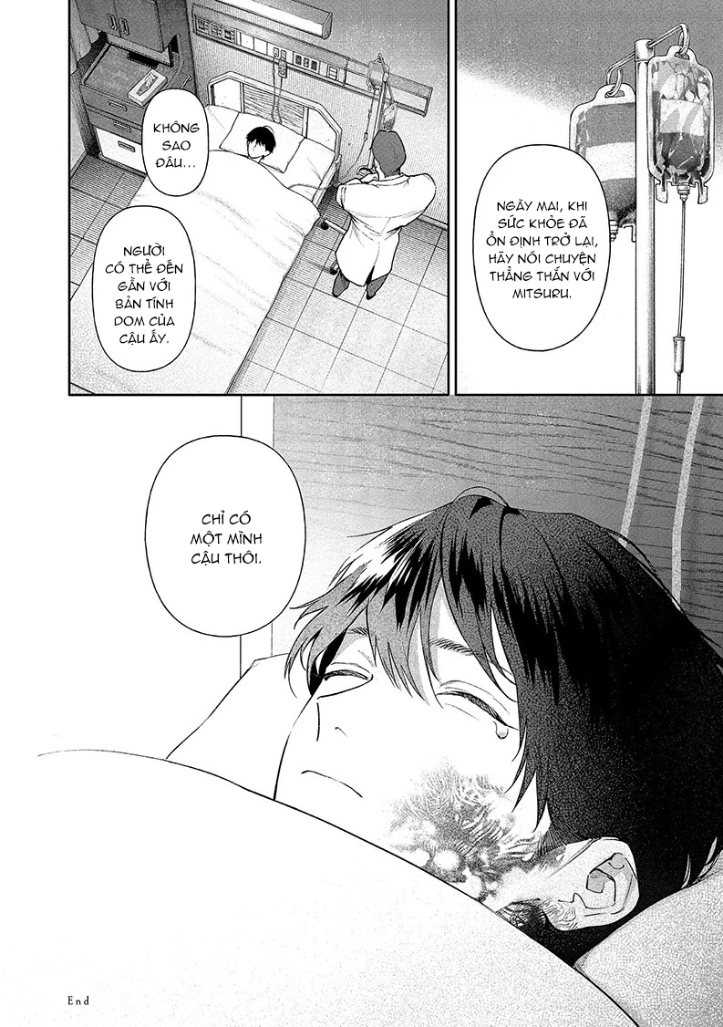 Cho Đến Khi Em Trở Thành Dom Chapter 5 Móc lít đỗ - Trang 2