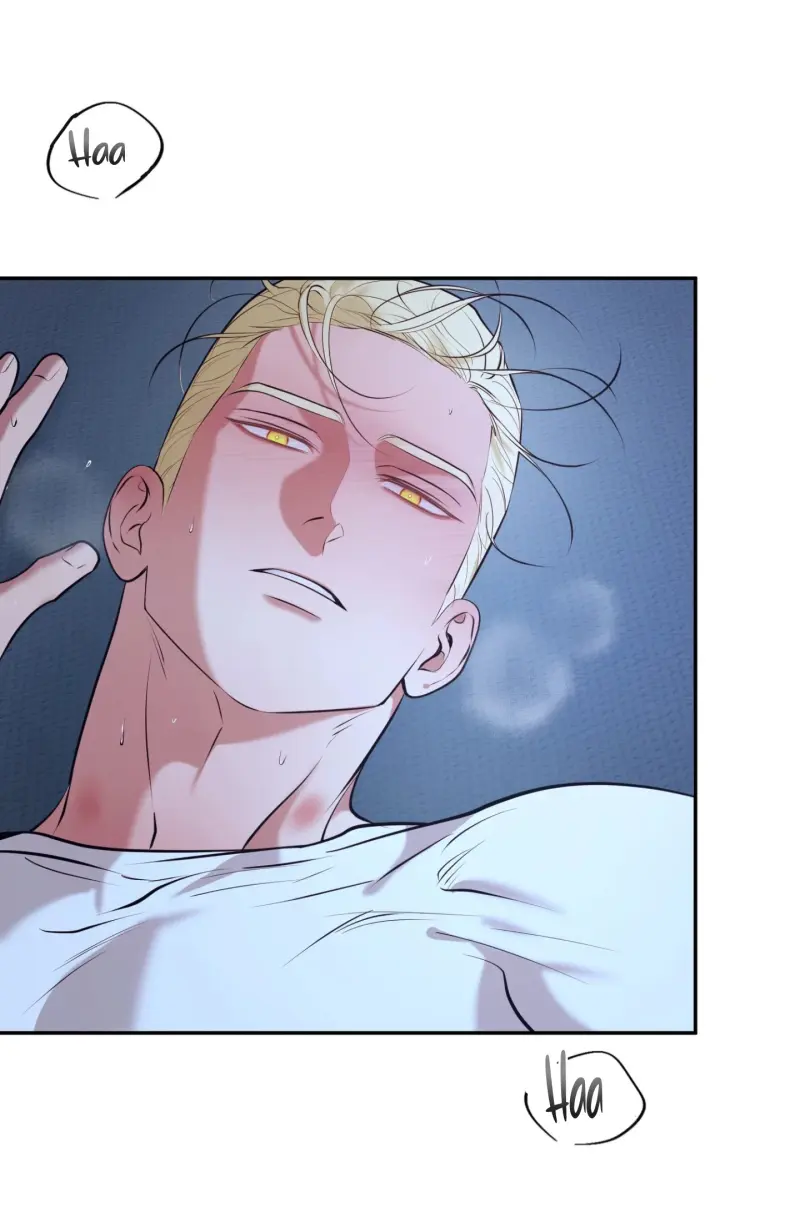 DAWNING LIGHT Chapter 12 - Next 