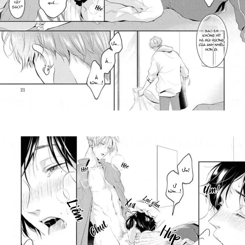 Mùi Hương Khó Cưỡng Chapter 8 H - Next Chapter 9