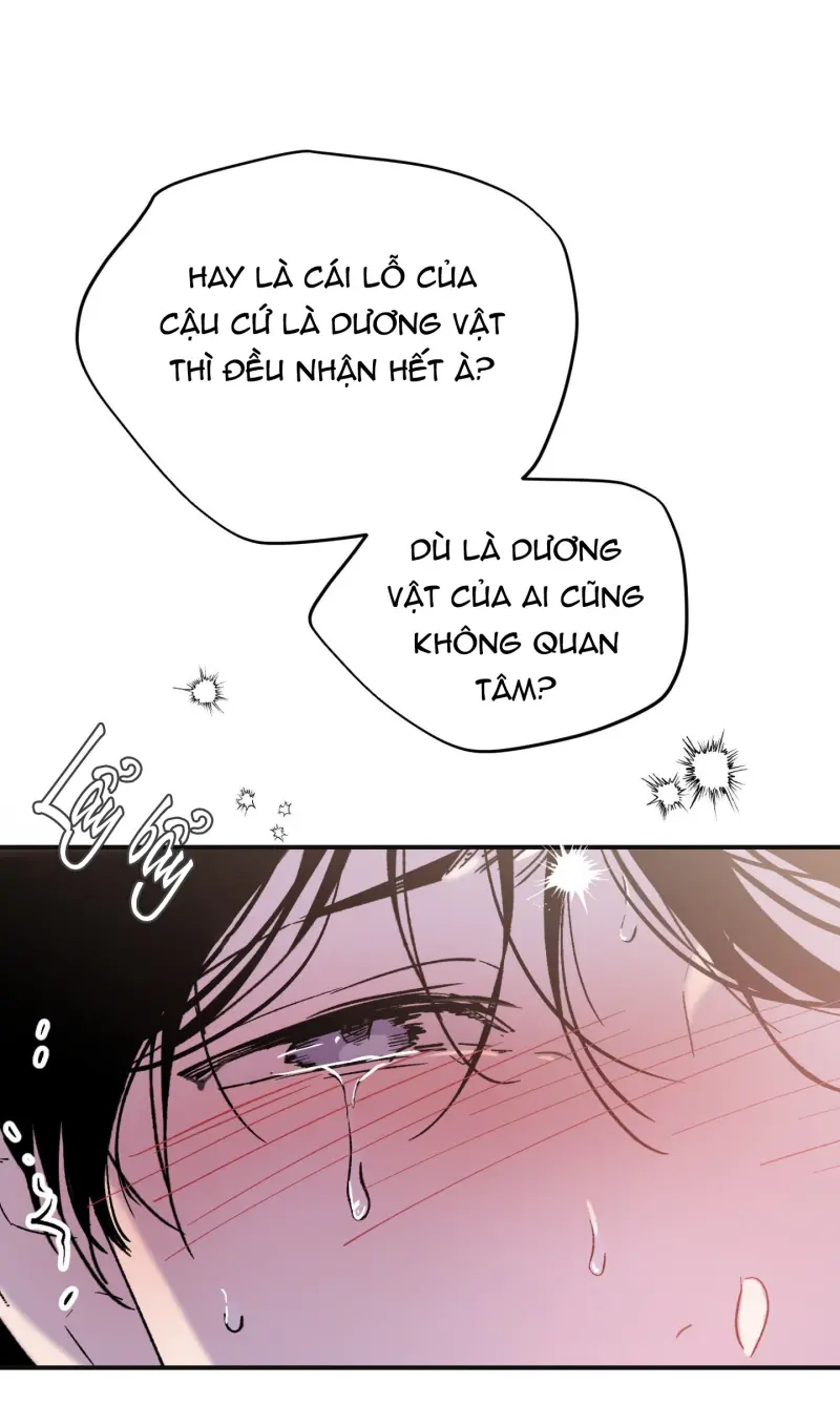 ÁNH MẮT LẠC NHỊP Chapter 2 - Next Chapter 3