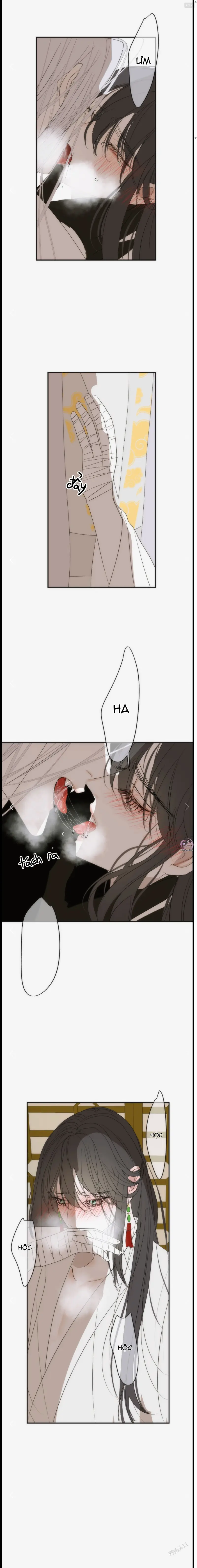 Vài Câu Chuyện Với Sư Tôn Sau Khi Xuyên Sách Chapter 81.14 - Next Chapter 81.2