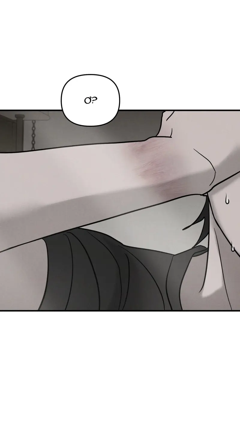 FIETA Chapter 27 end ss1 - Next 