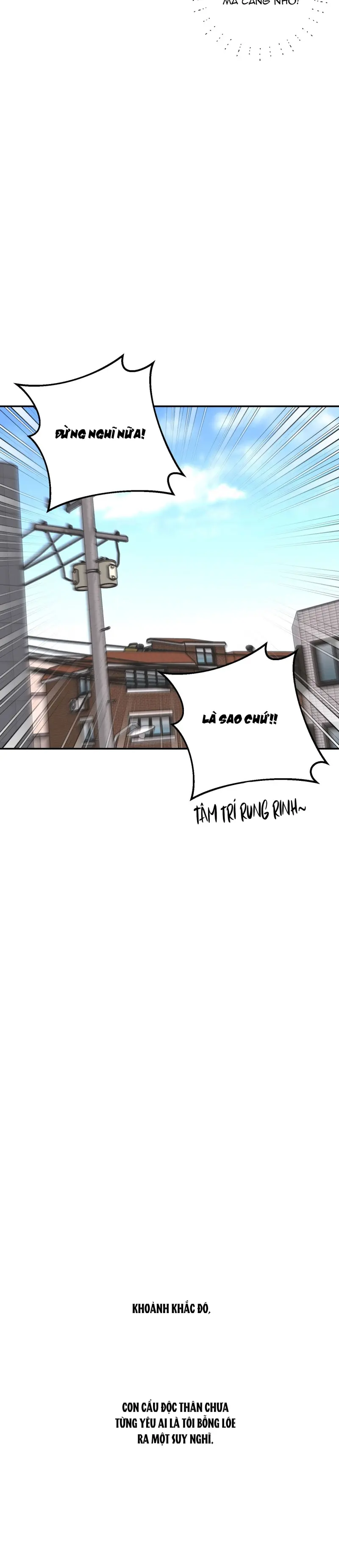 Ánh Đèn Mờ Ảo​ Chapter 3 - Next 