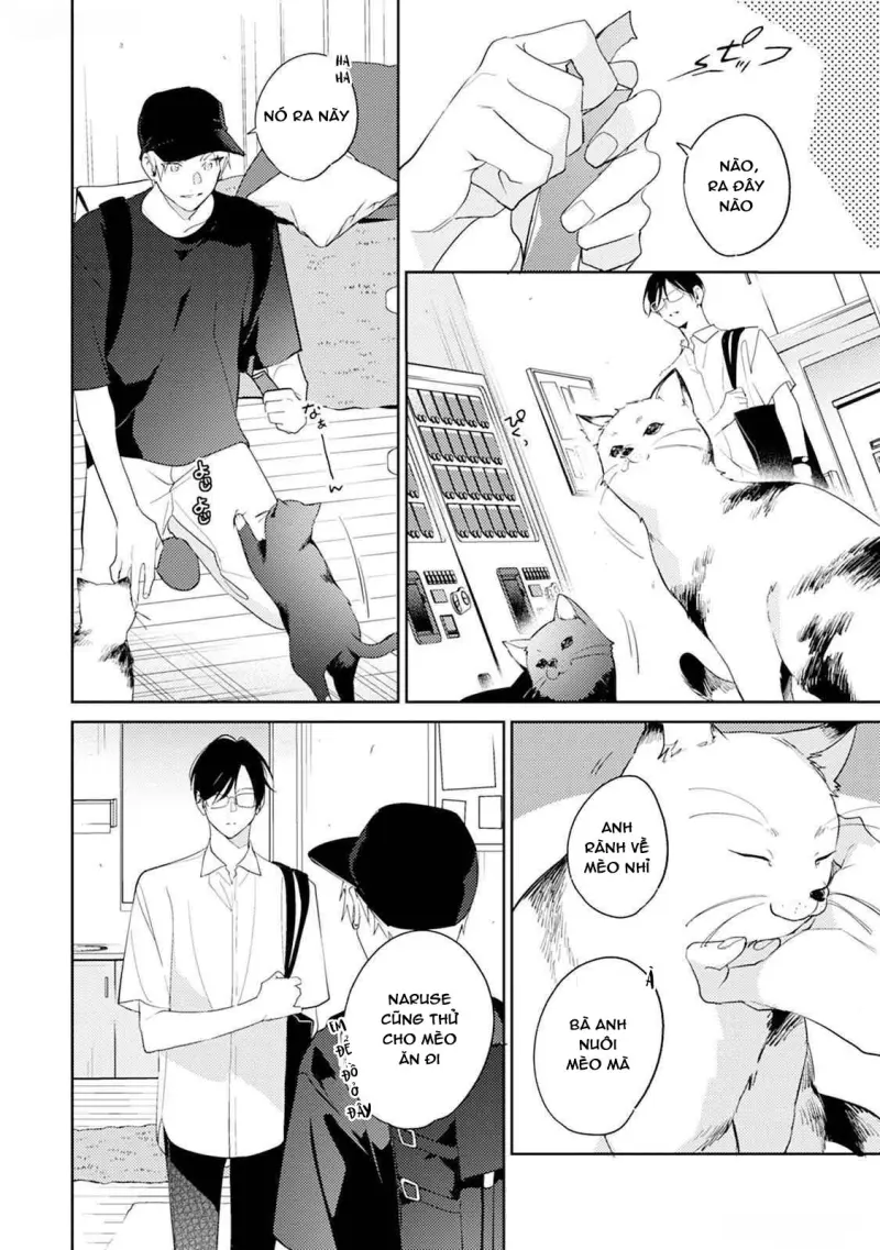 Tình Yêu Bắt Đầu Từ Đầu Lưỡi Chapter 8 H - Next 