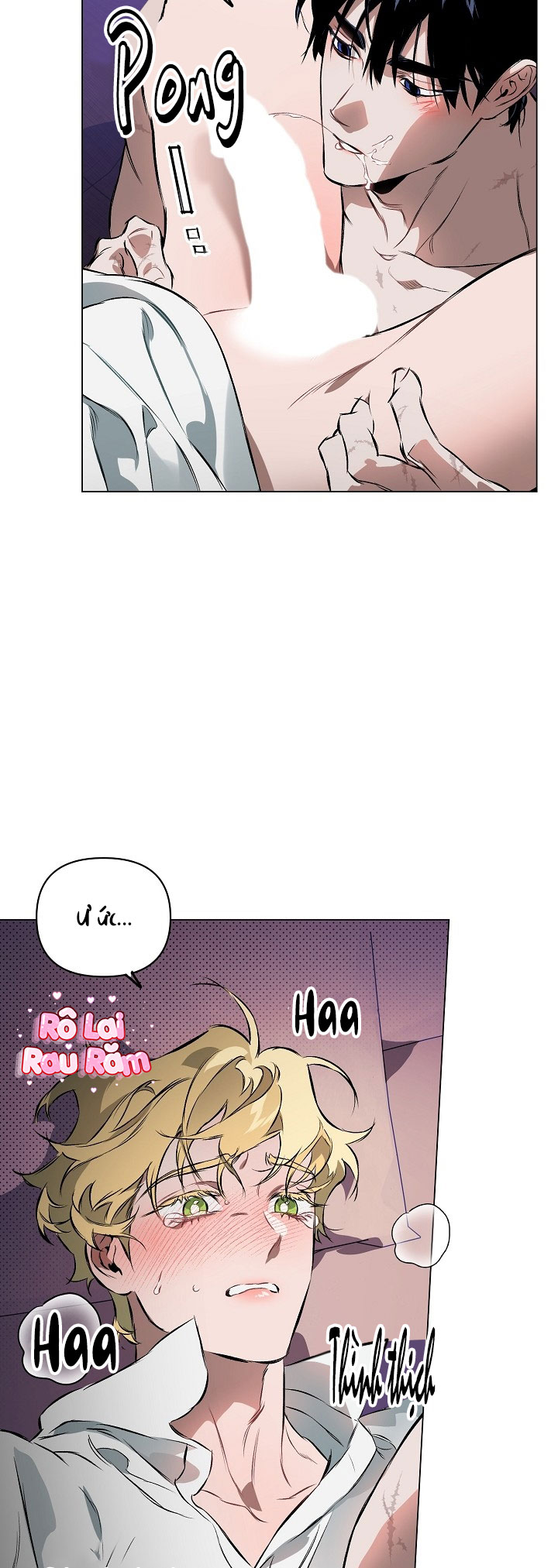 THUẦN PHỤC Chapter 5 - Next Chapter 6 H+++