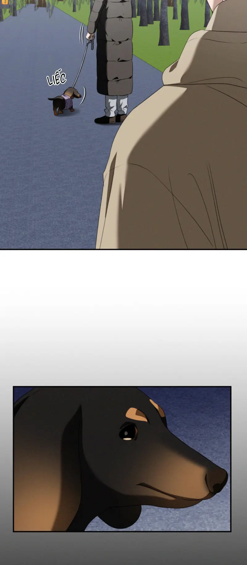 Critical Point Chapter 76 - Next 